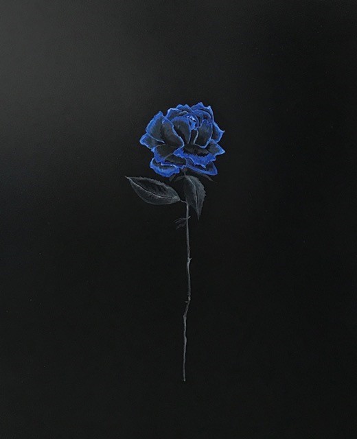 Kimberly DuRoss - Black and Blue Rose