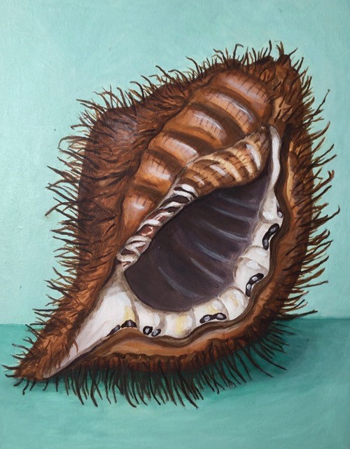 Kimberly DuRoss - The Conch ence (aqua)